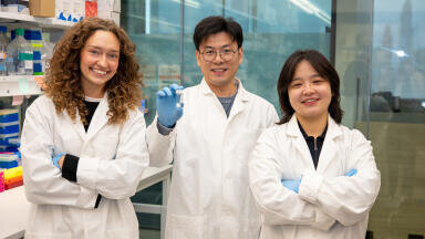 Lipid nanoparticle immunotherapy restores T-cell function and eradicates solid tumours in preclinical models