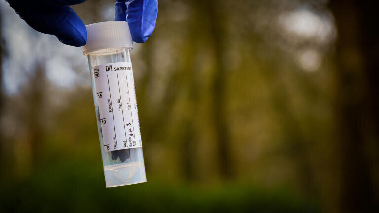 Barbary macaque DNA sample used for genome sequencing in the lab. Credit: Trentham Monkey Forest