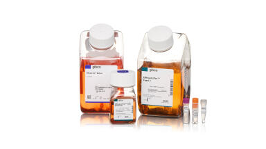 New cell line development kit introduces royalty-free licensing