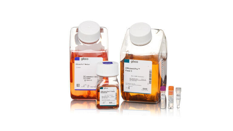 New cell line development kit introduces royalty-free licensing