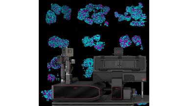 Fast 3D light sheet imaging with standard sample carriers