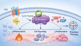 β-arrestins emerge as targets for precision peptide drug design
