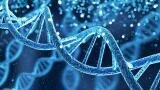 Gene variant naming errors found in clinical genetics review