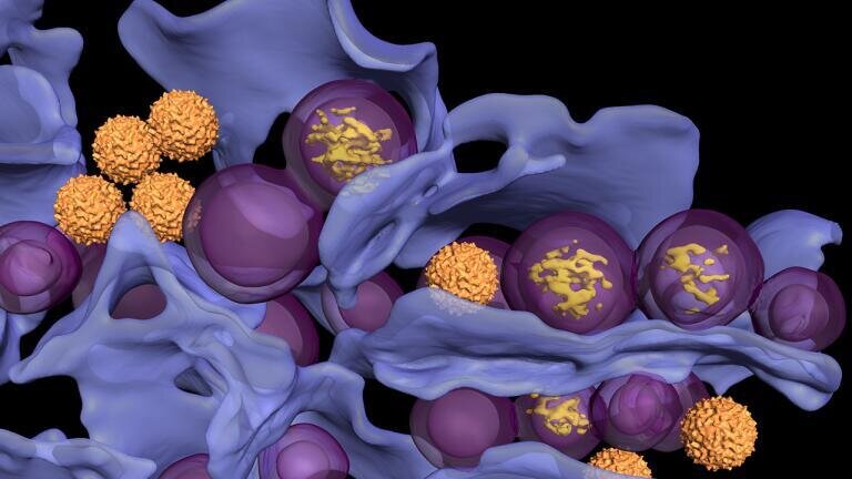 Cryo-electron tomography shows how tick-borne virus, that causes encephalitis, uses human cells as replication factories