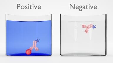 Expanded antibody portfolio for drug and biologics monitoring