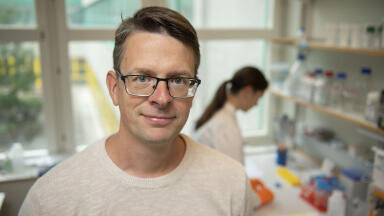 Stem cell method yields insulin-producing cells with therapy potential for diabetes