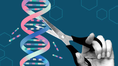 Efficient analysis of sgRNA and its impurities