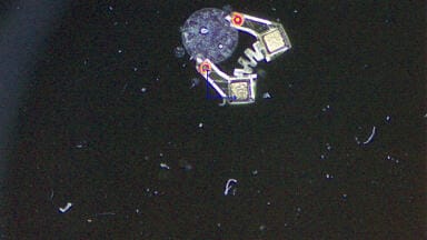 Force-sensing tiny robotic gripper enables precise assembly of fragile cell spheroids for tissue engineering