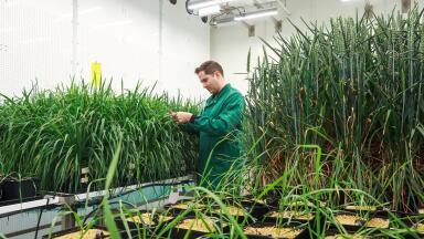 Wild Bioscience scales climate-resilient crops at Milton Park