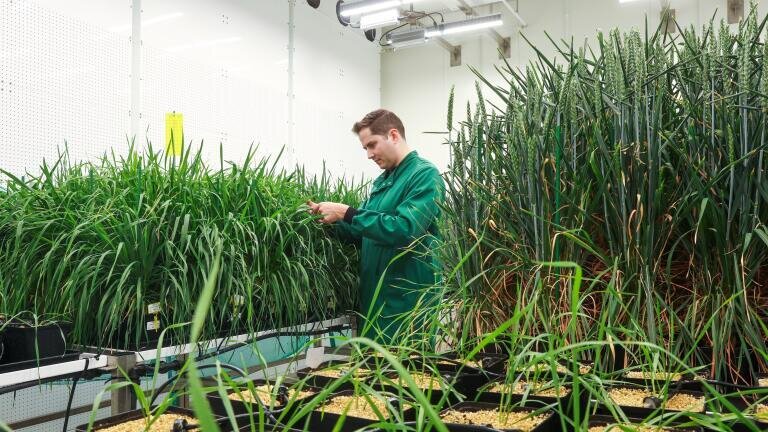 Wild Bioscience scales climate-resilient crops at Milton Park