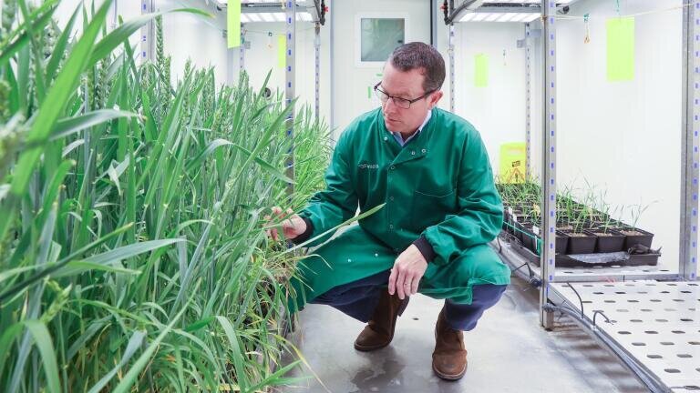 Stuart Harrison, incoming CBO at Wild Bioscience, inspecting one of the growth rooms at Milton Park, Oxfordshire. Credit Aurelien Langlais