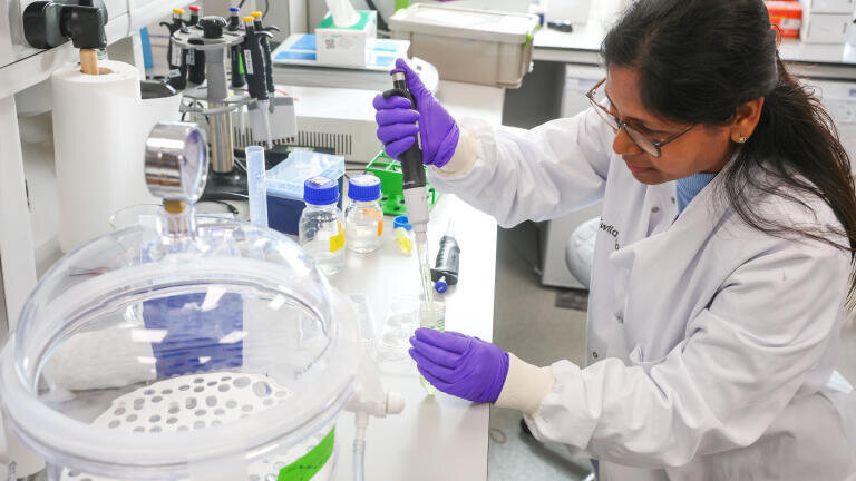 Wild Bioscience research associate Sonal Dhamgaye investigating plant samples for the expanding wheat transformation team at Milton Park, Oxfordshire. Credit Aurelien Langlais