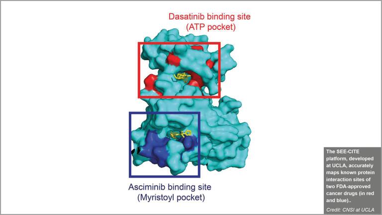 SEE-CITE technology from UCLA refines mapping of drug–protein ...