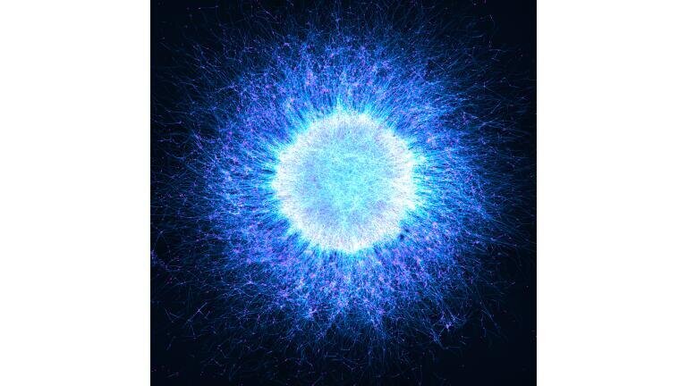 Neuronal Cosmos wins 6th Annual Image of the Year Award