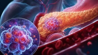 Pancreatic beta cells reveal how ageing, type 2 diabetes reshape insulin response