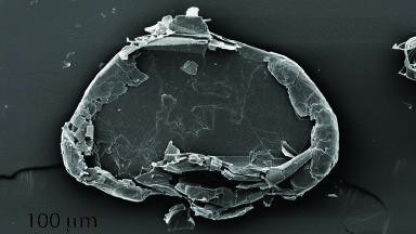 Vibrational exfoliation enables scalable graphene production