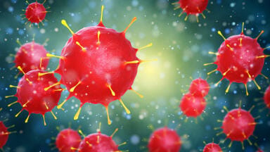 AAV study reveals drivers of rheumatoid arthritis pain