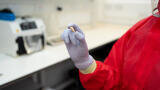 Ancient DNA exhibition at Crick explores human evolution and disease