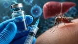 Malaria vaccine provides long protection and inhibition of mosquito transmission