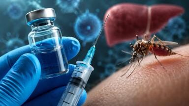 Malaria vaccine provides long protection and inhibition of mosquito transmission
