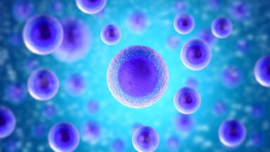 Expanded portfolio of independently verified cell lines