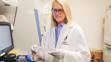 MYC protein found to be key to tumour's repairing of DNA and treatment resistance