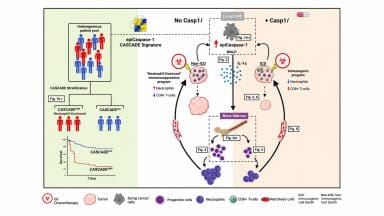 Chemotherapy may trigger immune changes that drive cancer resistance