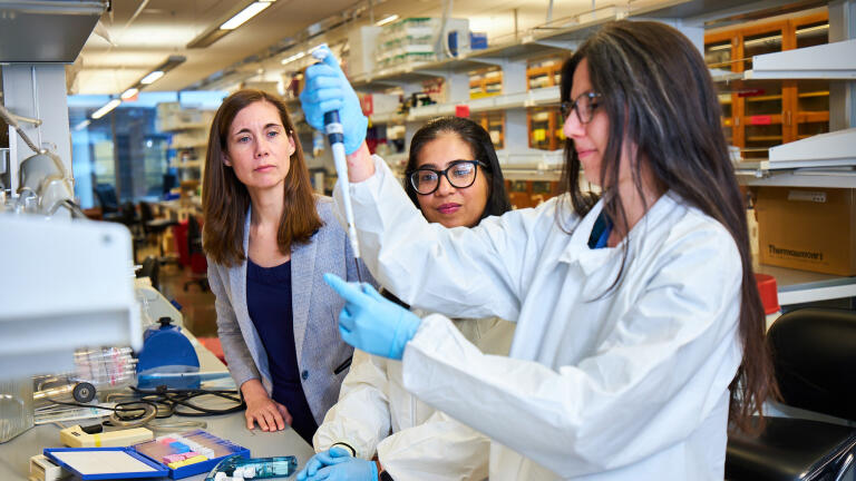 Metabolic pathway exposes Achilles’ heel in chemotherapy resistance