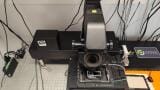 Label-free live imaging platform for clinical research
