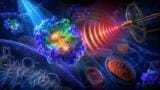 Protein quantum sensors could enable radio waves to control cells