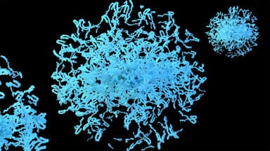 Researchers visualise Parkinson’s-linked protein aggregates in the living brain