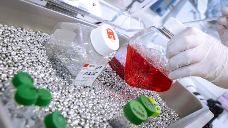 Research will focus on how lipid emulsions influence tumour behaviour and chemotherapy response in 3D cell models. Credit: Med Uni Graz/Lunghammer