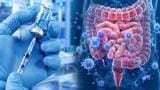 Novel adjuvant may help injectable polio vaccine to stop viral spread