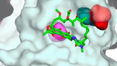 TB resistance mutation exposes hidden weaknesses for future drug therapies