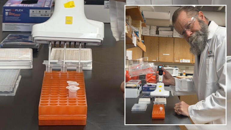 Electronic pipettes advance non-opioid pain research