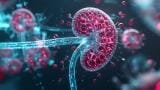 Up to half of kidney disease cases remain undiagnosed, Lancet series warns