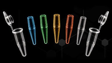 Fluorescence references support multiplex real-time PCR workflows