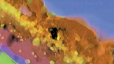 Big Performance at the NANO Scale