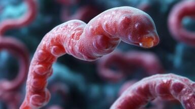 Hidden parasitic disease may increase HIV and cervical cancer risk