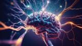 New CE-marked p-Tau217 test and research assay expand Alzheimer’s testing portfolio