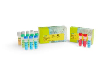 New ddPCR kits streamline cell and gene therapy QC