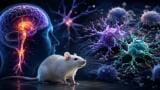 IL-6 deficit may worsen pathology in Parkinson’s in a sex-dependent way