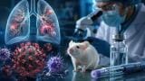 GLP-1 drugs may reduce Long COVID lung fibrosis risk in type 2 diabetes