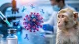 HIV vaccine prompts strongest broadly neutralising antibody response yet seen