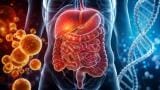 Genetic study links IBS to metabolism of lipids and regulation of triglycerides
