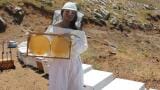 Multifloral honey shows promise against ultraviolet-linked ageing of skin cells