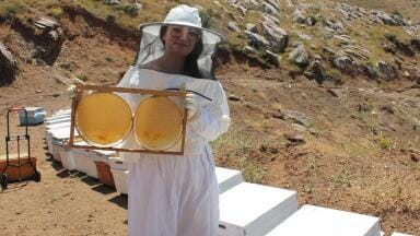Multifloral honey shows promise against ultraviolet-linked ageing of skin cells