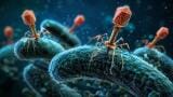 Scientists solve 80-year-old riddle of why virus-infected cells behave so differently