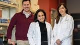 Targeted phages suggest novel precision treatment for inflammatory bowel disease