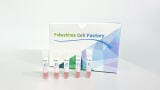 Patient-derived organoid models for cancer research